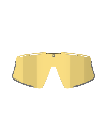 Ecran Vision RX